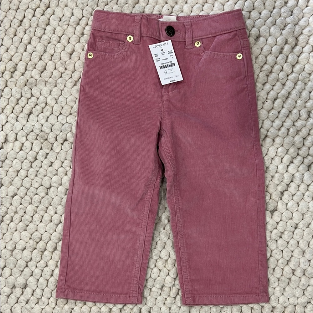J.Crew Crewcuts Pink Kids Corduroy Pants